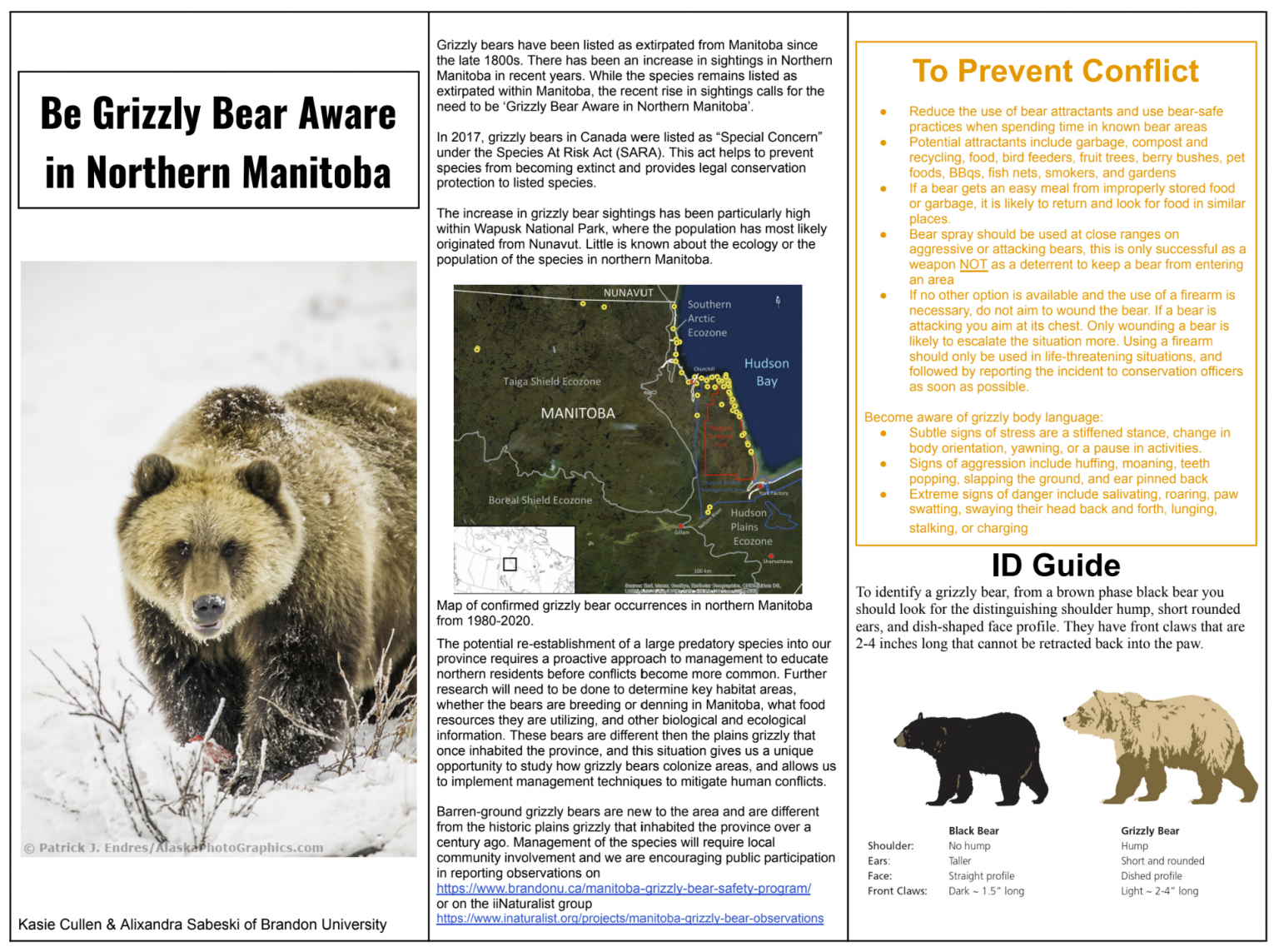 Bear Awareness Resources Manitoba Grizzly Bear Safety Program