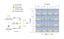 Characterization of extra polyloop and its applications to biological inheritance